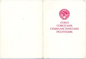 RRR! Дубликатный Дунайский бант на женщину
