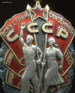 ЗП - 1141312