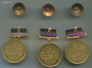 Три БОЛЬШИХ ЗОЛОТЫХ медали ВДНХ.