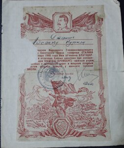 5 благодарностей за Вислу,Одер,Померанию на старшину