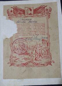 5 благодарностей за Вислу,Одер,Померанию на старшину