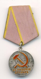 Трудовое отличие N46313