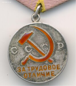 Трудовое отличие N46313