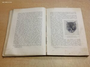 2 книги,,Три Века" От Смуты до нашего времени 1912-1913 год