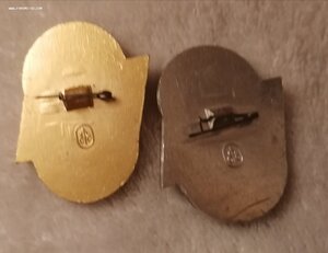 Всероссийские молодёжные соревнования, подводное плавание