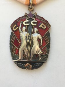 ЗП № 1521950 (ветки).