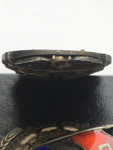 ЗП № 1521950 (ветки).