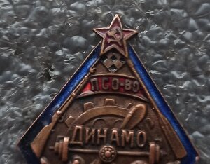 Профсоюз спортивного общества Динамо,1920-е