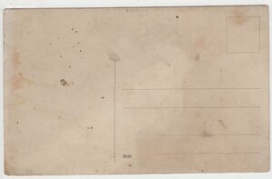 V выпуск школы прапорщ. ополчения западного фронта 1916 г.
