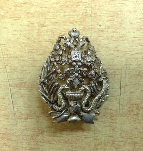 Знак Врача Серебро фрачник