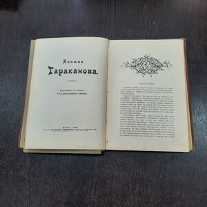 Легенда о старце Кузьмиче и Александре 1 - Княжна Тараканова