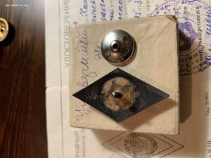 Университет 11 лент