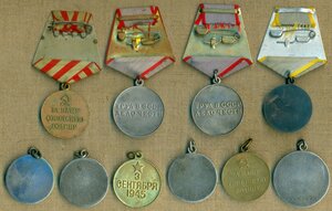 Солянка медальная