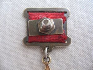 Комплект ГСТ №8*** и Орден Ленина №З48***