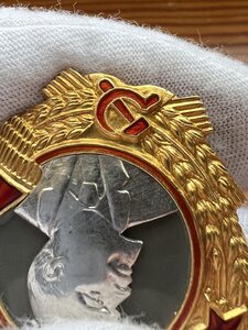 Орден Ленина № 22470 - ЛЮКС, без круга на реверсе.