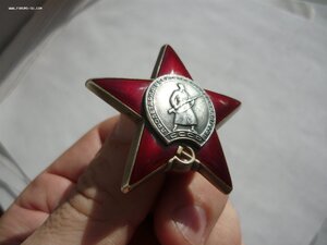КЗ № 3631327