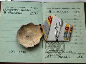 Трудовая слава 2ст 12 тыс на доке в люксе.