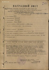 БКЗ за Японию! Амурская флотилия! Монитор.