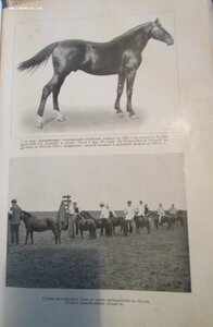 Кн.Урусов .Книга о лошади. 1911 г 3 издание.