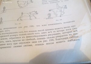 Кн.Урусов .Книга о лошади. 1911 г 3 издание.