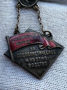 Сталинский поход за Большевистский сев и соц. Животноводство