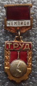 чемпион ДСО Труд, ранний тип, гимнастика,брусья