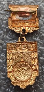 чемпион ДСО Труд, ранний тип, гимнастика,брусья