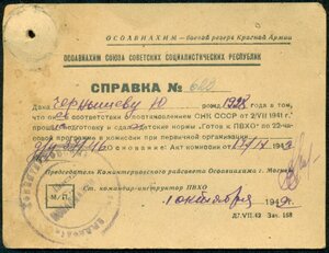 "Готов к ПВХО"/малыш/ со справкой