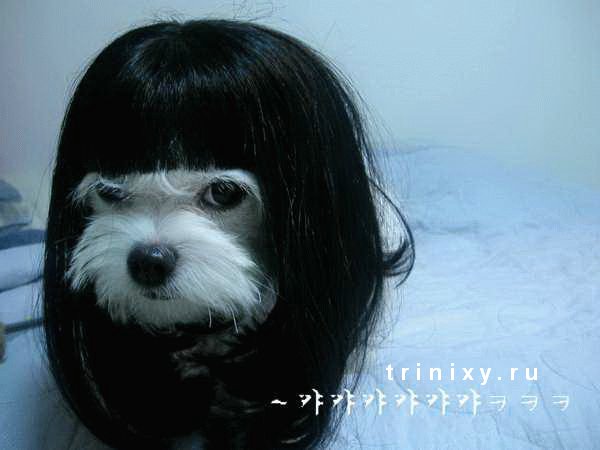 ПРО СИСЬКИ!-дамам не входить.