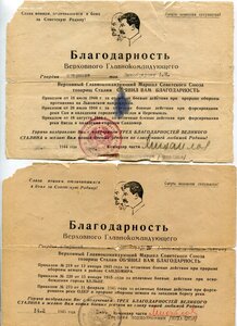 Комплект Документов СТАЛИНГРАД+Грамота++++
