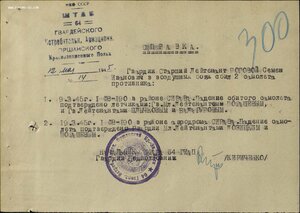 Лётчик истребитель (лет. на именном  самолёте)