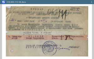 Слава 3 ст 805213 с ОК и УК бои и освобождение г. Чаусы БССР