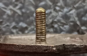 активист МОПР №2820