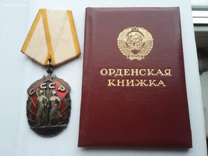 Знак почета 1491945 с док Ментешашвили