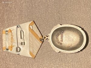 ЗП 169*** люкс. Из первых ложек.