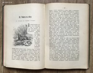 Оберлендер. Дрессировка и натаска подружейных собак. 1904