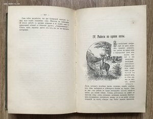 Оберлендер. Дрессировка и натаска подружейных собак. 1904