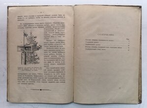 Как привлечь птиц в наши сады и леса. 1912 год