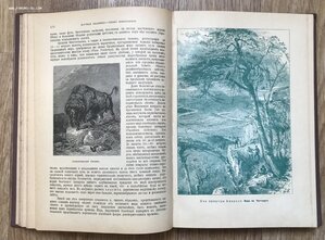 Эккерт. Всеобщая география. Том 1. Издание Битнера. 1911