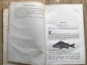 Рыболовство в России всеми орудиями во все времена года 1876