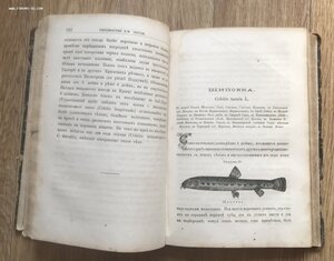 Рыболовство в России всеми орудиями во все времена года 1876