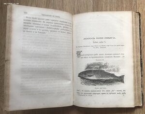 Рыболовство в России всеми орудиями во все времена года 1876