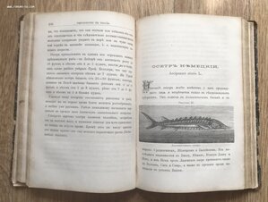 Рыболовство в России всеми орудиями во все времена года 1876