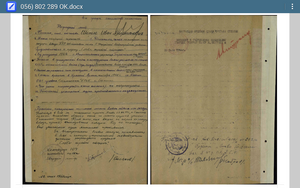 Слава 3 ст 802289 с ОК убил 5 немцев и уничтожил миномет