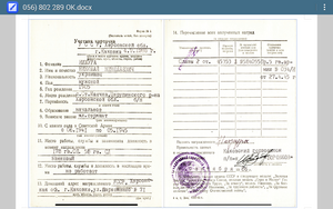 Слава 3 ст 802289 с ОК убил 5 немцев и уничтожил миномет