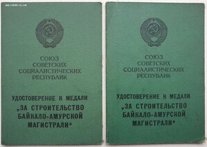 Два БАМа на супругов