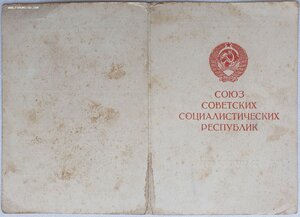 Белград, Вена и восемь благодарностей на одного