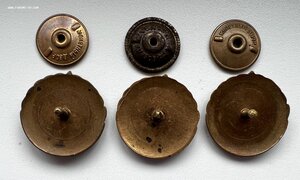 Круглые разрядники, 1й разряд - Бег муж., Бег жен., Шашки.