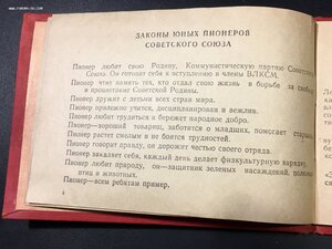 Личная книжка пионера.