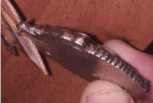 Знак почта , номер 43060 бюджетный.